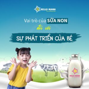 Vai trò của sữa non